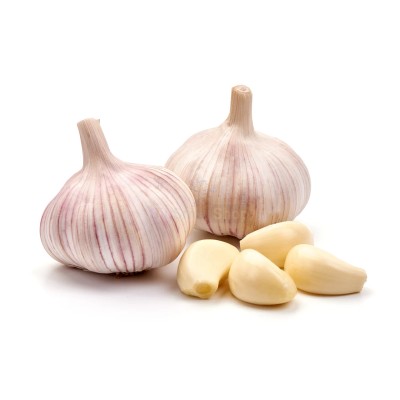 Чеснок крупный 1 кг - купить в Горчаках