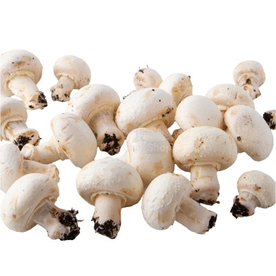 Шампиньоны свежие 500 г - купить в Горчаках